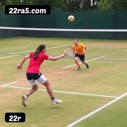 Níveis do programa VIP da 22r